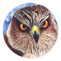 Hawk Stickers