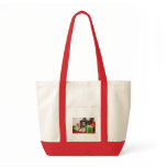 Hawkeye - ShihTzu - Palmer bags