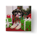 Hawkeye - ShihTzu - Palmer buttons