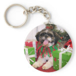 Hawkeye - ShihTzu - Palmer keychains
