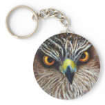 Hawkeyes keychains