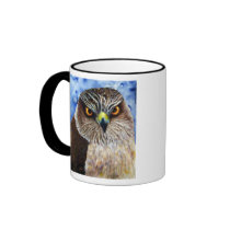 Hawkeyes Coffee Mug