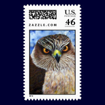 Hawkeyes postage