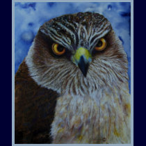 Hawkeyes t-shirts by artbyjolyn Hawkeyes t-shirts