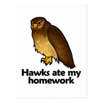 Hawks ate my homework postcards