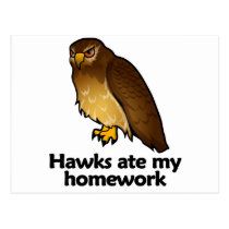 Hawks ate my homework postcards