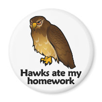 Hawks ate my homework magnets