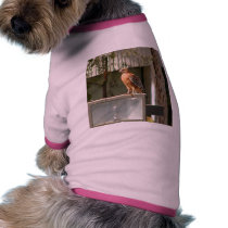 Hawks Birds pet clothing