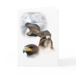 Hawks cards