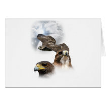Hawks Greeting Card