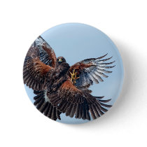 Hawks Fight for Control of the Sky buttons
