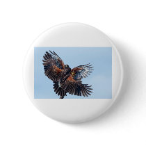 Hawks Fight for Control of the Sky buttons