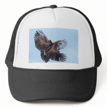Hawks Fight for Control of the Sky hats