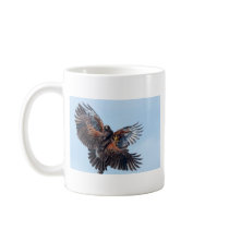 Hawks Fight for Control of the Sky mugs