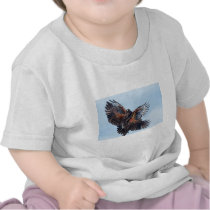 Hawks Fight for Control of the Sky t-shirts
