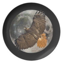 Hawks Moon Collectors Plate