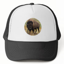 Hawks Moon Mesh Hats