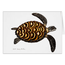 Hawksbill Sea Turtle Card