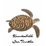 Hawksbill Sea Turtle Ladi...