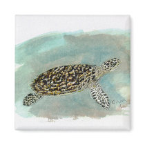 Hawksbill Sea Turtle magnets