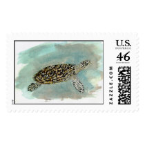 Hawksbill Sea Turtle Postage Stamp by Critterpainter Hawksbill Sea Turtle Postage Stamp