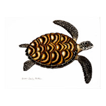 Hawksbill Sea Turtle posters by twopurringcats Hawksbill Sea Turtle posters