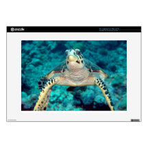 Hawksbill Turtle Laptop Skin
