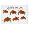 Hawksbill Turtles card by thomglace Hawksbill Turtles card