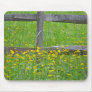 Hawkweed at Split Rail Fence Matching Items Mousepads