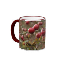 Hawthorn Berries Mug