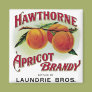 Hawthorne Aprilcot Brandy Fridge Magnets Hawthorne Aprilcot Brandy Fridge Magnets