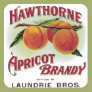 Hawthorne Aprilcot Brandy Stickers Hawthorne Aprilcot Brandy Stickers