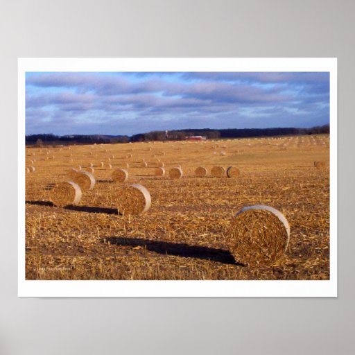 Hay Bales print | Zazzle
