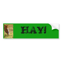 HAY! bumper stickers by almedic104 HAY! bumper stickers