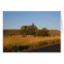 Hay cards by billstayer Hay cards