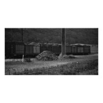 Hay Carriages photo cards