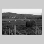 Hay Days Print