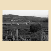 Hay Days Print posters