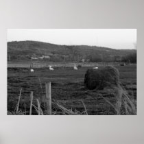 Hay Days Print