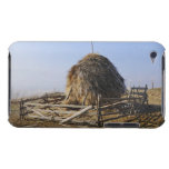 Hay iPod Touch Cases