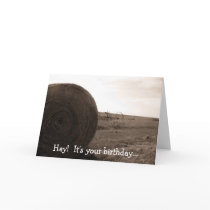 Hay! It's your birthday... cards by designerdave Hay! It's your birthday... cards