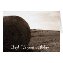 Hay!  It's your birthday... Cards