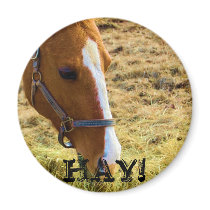 Hay! magnets by almedic104 Hay! magnets