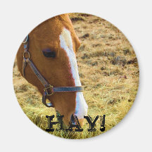 Hay! Magnets