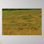 Hay Print