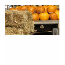 Hay Ride t-shirts