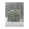 Hay there! postcards by HessyLu Hay there! postcards