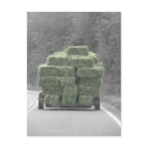 Hay there! postcards
