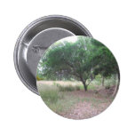 Hay un dinosaurio en el bosque… pins