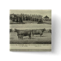 Hayes, Olathe, and Ellis Residence and Farm Buttons